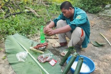 Phần 2 💚 Ngày Về Quê: Tự Tay Câu Cá To, Bắt Ốc Béo | Nấu Bữa Cơm Chiều Ấm Áp 5 Phần 2 💚 Ngày Về Quê: Tự Tay Câu Cá To, Bắt Ốc Béo | Nấu Bữa Cơm Chiều Ấm Áp