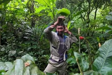Làm vườn trên núi cao - Vào trang trại đi săn và làm vườn - Cuộc sống nông thôn Việt Nam