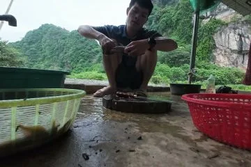 MÓN NGON LÀNG QUÊ: Bắt cá bống suối và nấu Canh Chua Cá chuẩn vị 6 MÓN NGON LÀNG QUÊ: Bắt cá bống suối và nấu Canh Chua Cá chuẩn vị