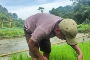 TỐC ĐỘ BÀN TAY: Cấy Lúa Nhanh "Như Điện" - Kỹ Thuật Nông Dân Việt!