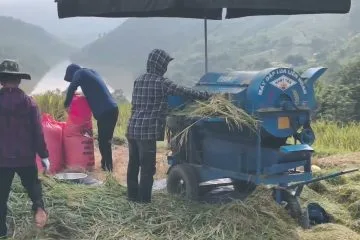 Vẻ Đẹp Hùng Vĩ Ngày Mùa: Ruộng Bậc Thang Mường Lát (Thanh Hóa) – Cuộc sống vùng cao - Người Ở Bản 2 Vẻ Đẹp Hùng Vĩ Ngày Mùa: Ruộng Bậc Thang Mường Lát (Thanh Hóa) – Cuộc sống vùng cao - Người Ở Bản