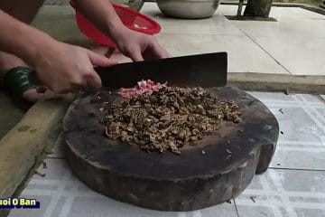 NGON KHÓ CƯỠNG! Ẩm thực đồng quê: Đi săn Dế Mèn và Công thức Chả Dế Lá Lốt 5 SAO! 😋