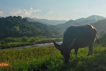 Check-in “Cổng Trời” Mường Lát lúc Hoàng Hôn | Đẹp đến ngỡ ngàng! – Cuộc sống vùng cao - Người Ở Bản 3 Check-in “Cổng Trời” Mường Lát lúc Hoàng Hôn | Đẹp đến ngỡ ngàng! – Cuộc sống vùng cao - Người Ở Bản