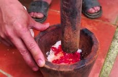 Khai Xuân Mùng 4 Tết Tại Bản: Lội Ao Bắt Cá, Nướng Củi cùng mọi người | Tết Bính Ngọ 2026