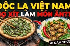 SỐC! Bọ Xít Rang - Món Ăn Kinh Dị Hay Đặc Sản Vùng Cao?