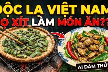 SỐC! Bọ Xít Rang - Món Ăn Kinh Dị Hay Đặc Sản Vùng Cao?