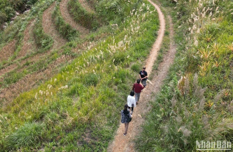 Những đỉnh núi đẹp nhất để khám phá và mạo hiểm ở Tam Đường, Lai Châu