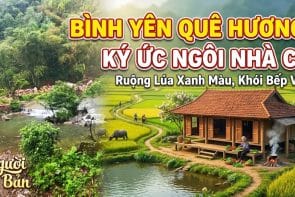 Nơi Bình Yên Nhất Để Trở Về: Hương Lúa Đồng Quê Vỗ Về Tâm Hồn #NguoiOBan