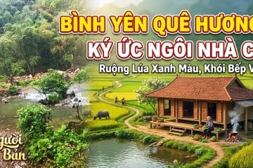Nơi Bình Yên Nhất Để Trở Về: Hương Lúa Đồng Quê Vỗ Về Tâm Hồn #NguoiOBan