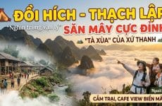 Một Ngày Trốn Khói Bụi Tại Thiên Đường Mây Đồi Hích Đà Lạt xứ Thanh | Người Ở Bản