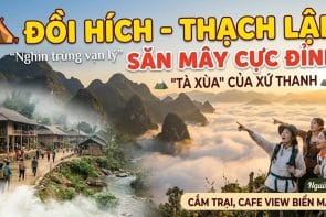 Một Ngày Trốn Khói Bụi Tại Thiên Đường Mây Đồi Hích Đà Lạt xứ Thanh | Người Ở Bản